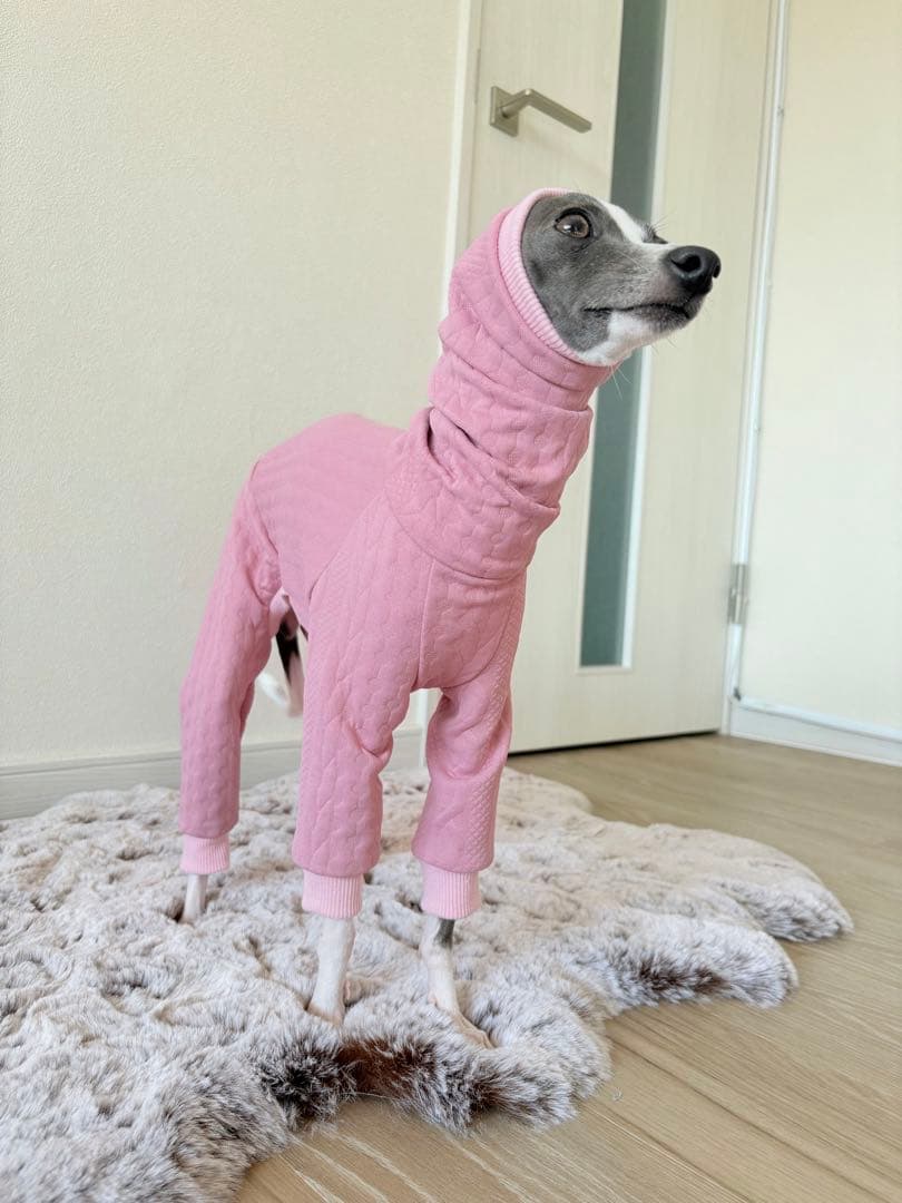 アランキルトニット　イタグレ服　ミニピン服　イタリアングレーハウンド