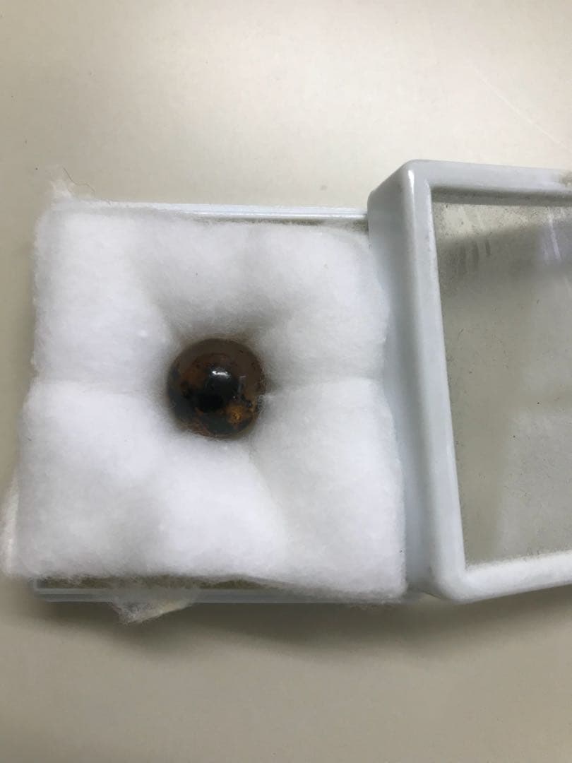 約 1cmの 珍しい ブラジル産 琥珀