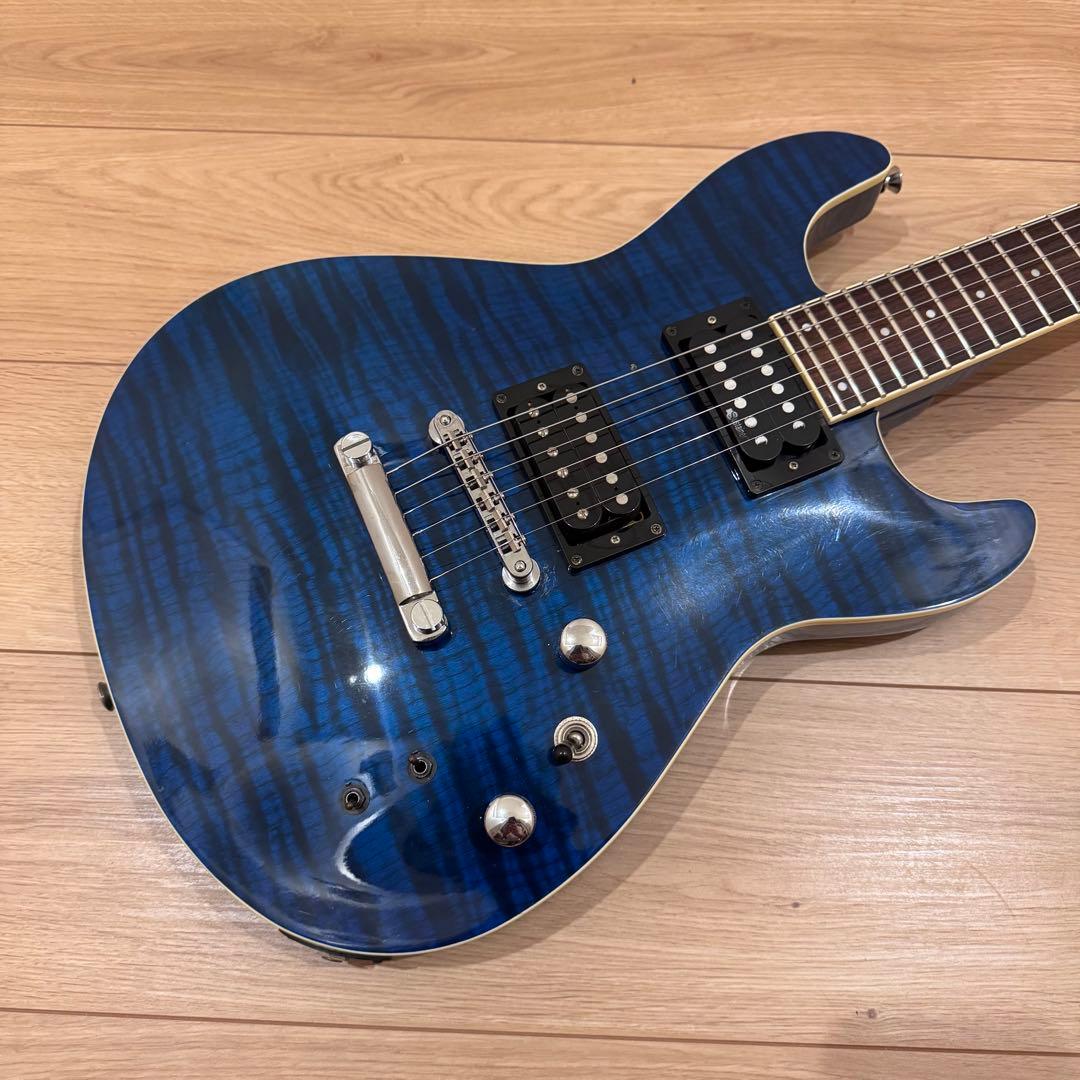 FERNANDES APG-55S サスティナー