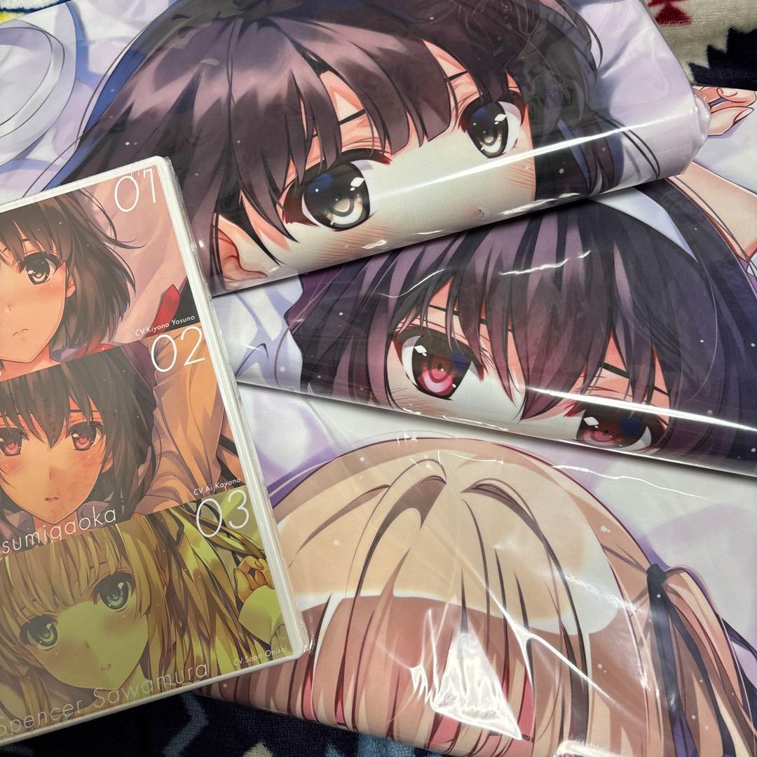 冴えない彼女の育てかた ヒロインコンプリート 抱き枕カバー BOX