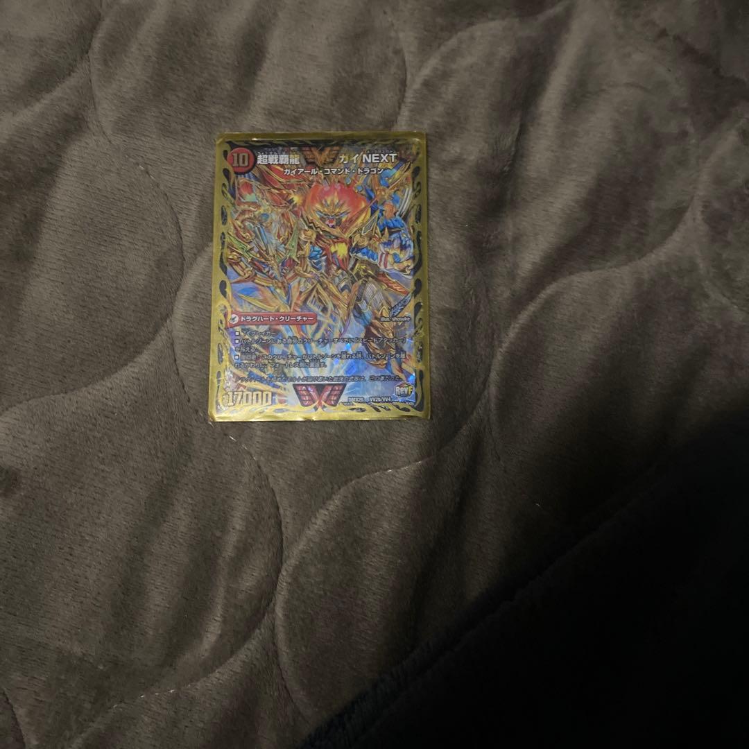 デュエル・マスターズ　超戦覇龍ガイnext