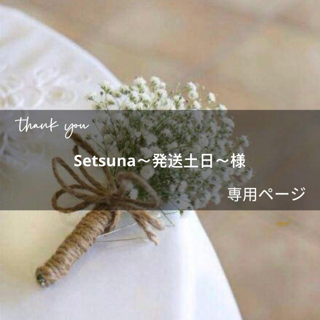 Setsuna～発送土日～ページ(7月5日までお取り置き可能)