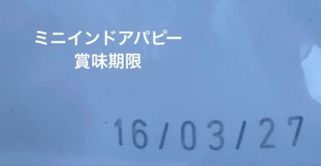  CANIN ミニ インドア パピー 10kg ダンボール発送