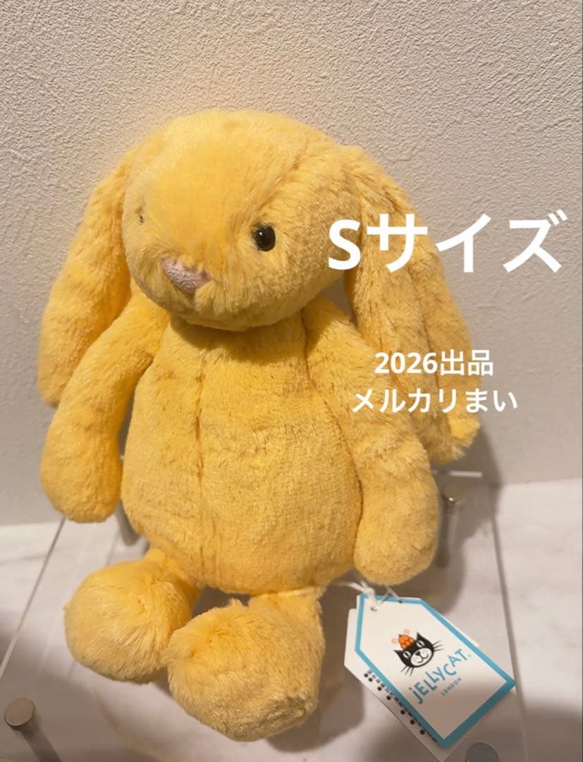  Little Bashful Sunshine Bunny 兎