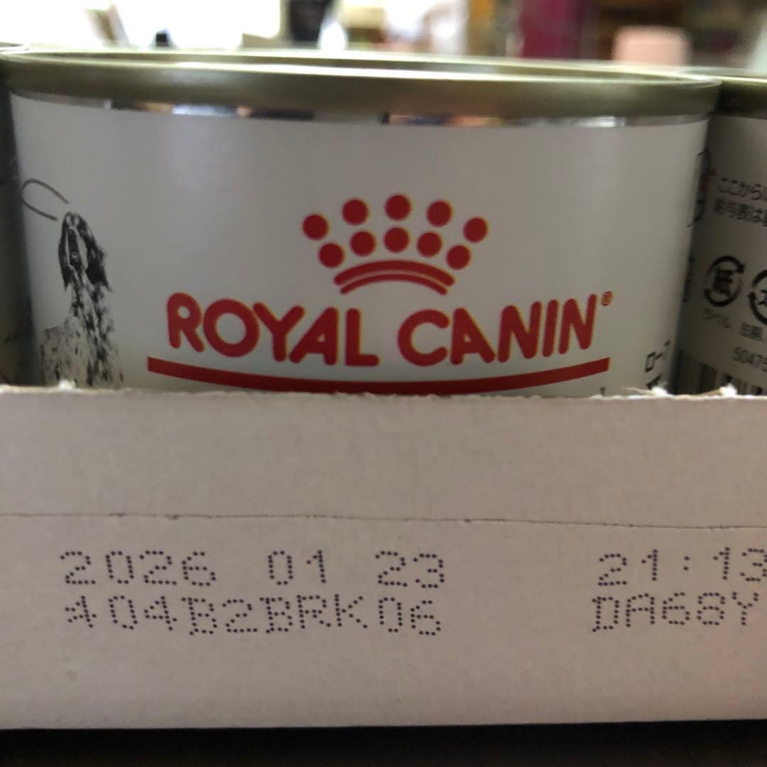  CANIN 消化器サポート 低脂肪 200g× 36缶