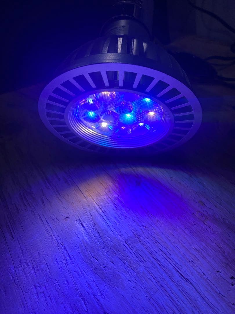 ボルクスジャパン GrassyLeDio RX122 RF ライトクリップセット