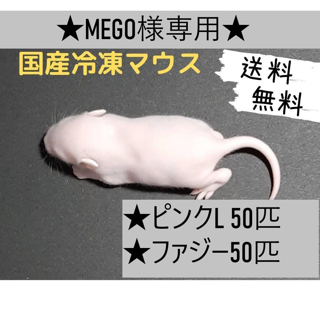 ★MEGO★国産冷凍マウス ピンクL 50匹、ファジー50匹