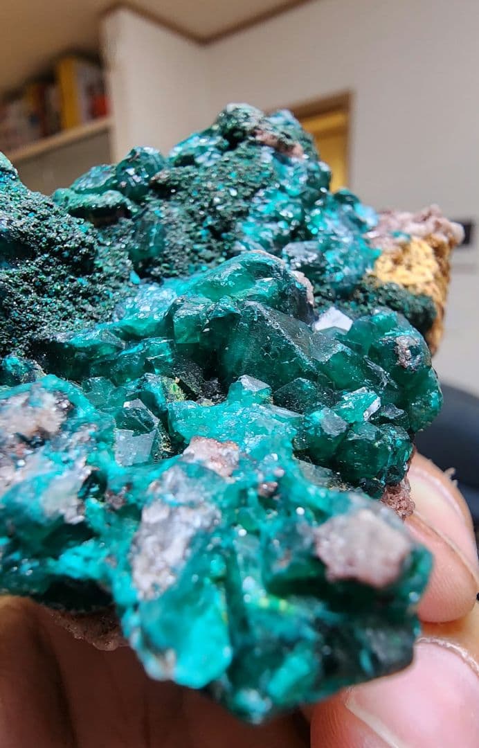 ディオプテーズ（翠銅鉱）母岩付きクラスター