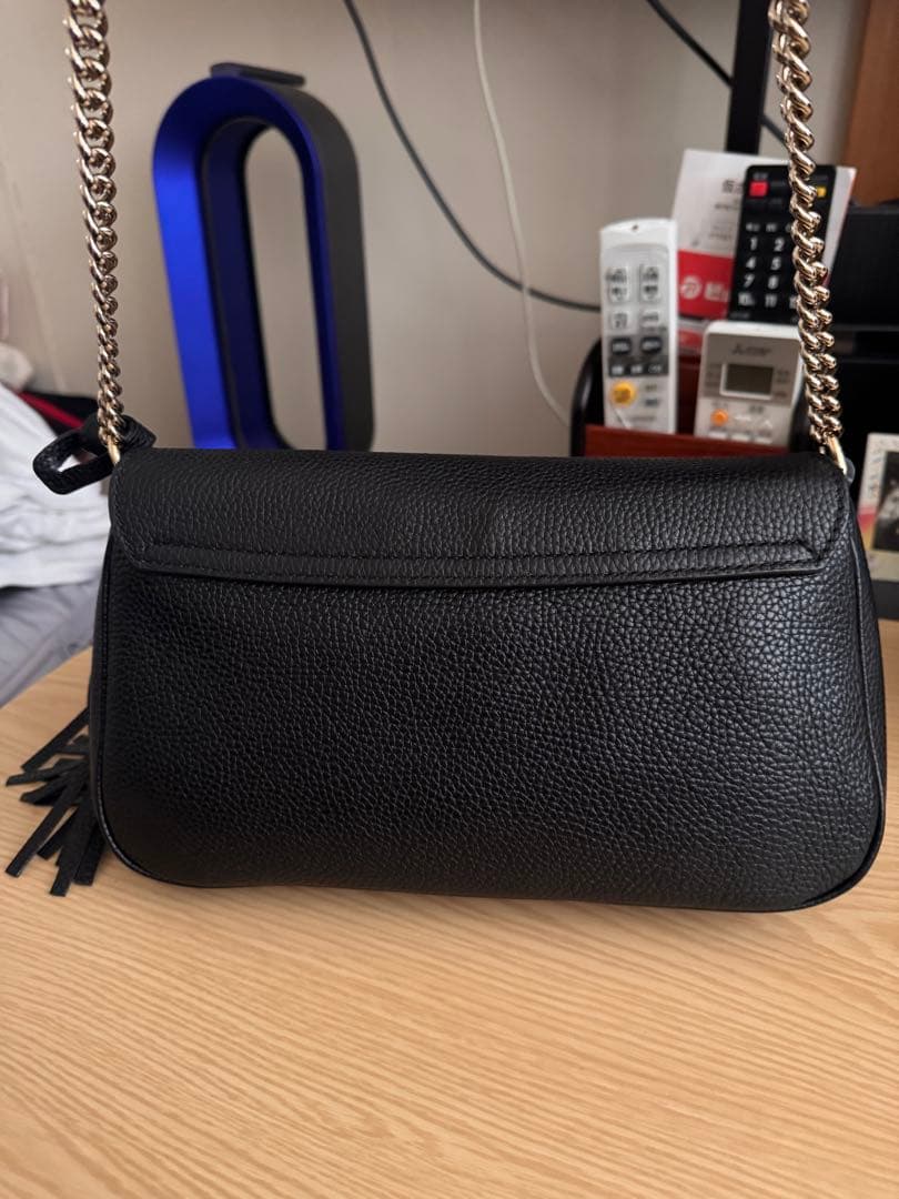 GUCCIダッシュバッグ付き