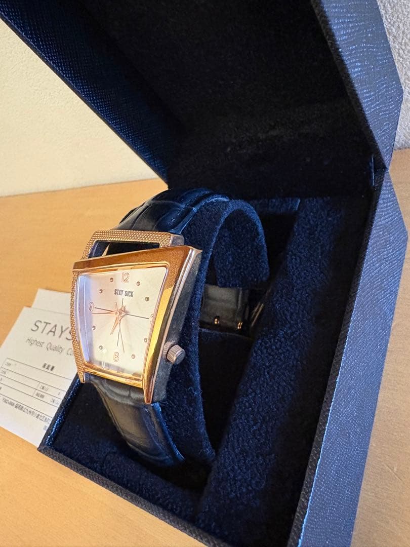 STAYSICK PG×WH ステンレス　腕時計　ハミルトン　フライト