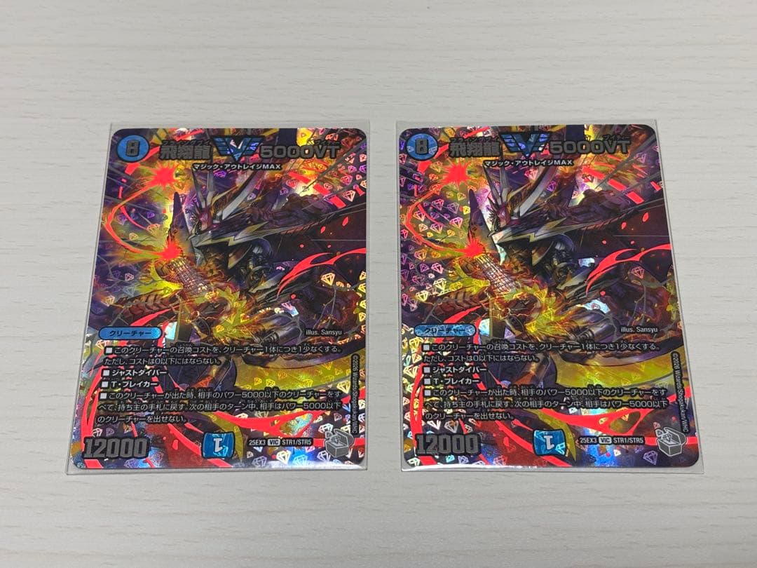 飛翔龍 5000vt 超銀トレジャー 2枚