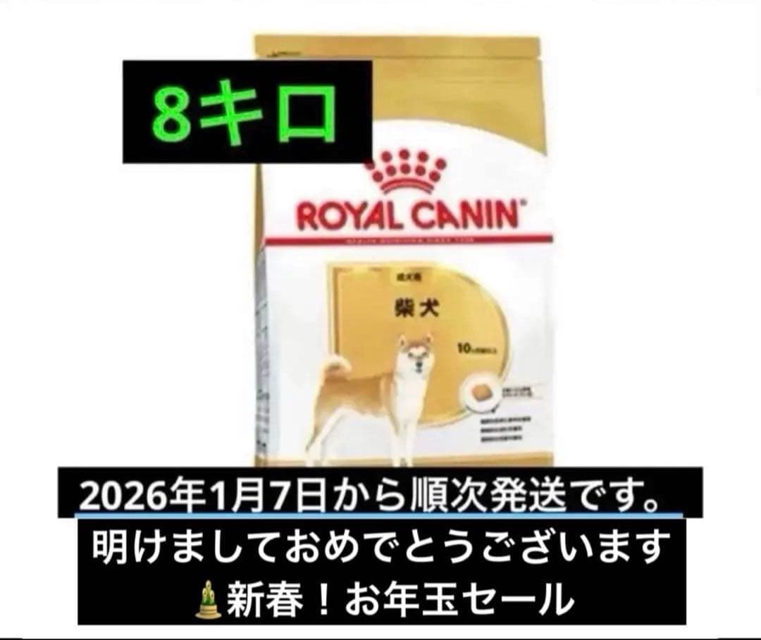 CANIN 柴犬　8kg 1袋　ロイヤルカナン