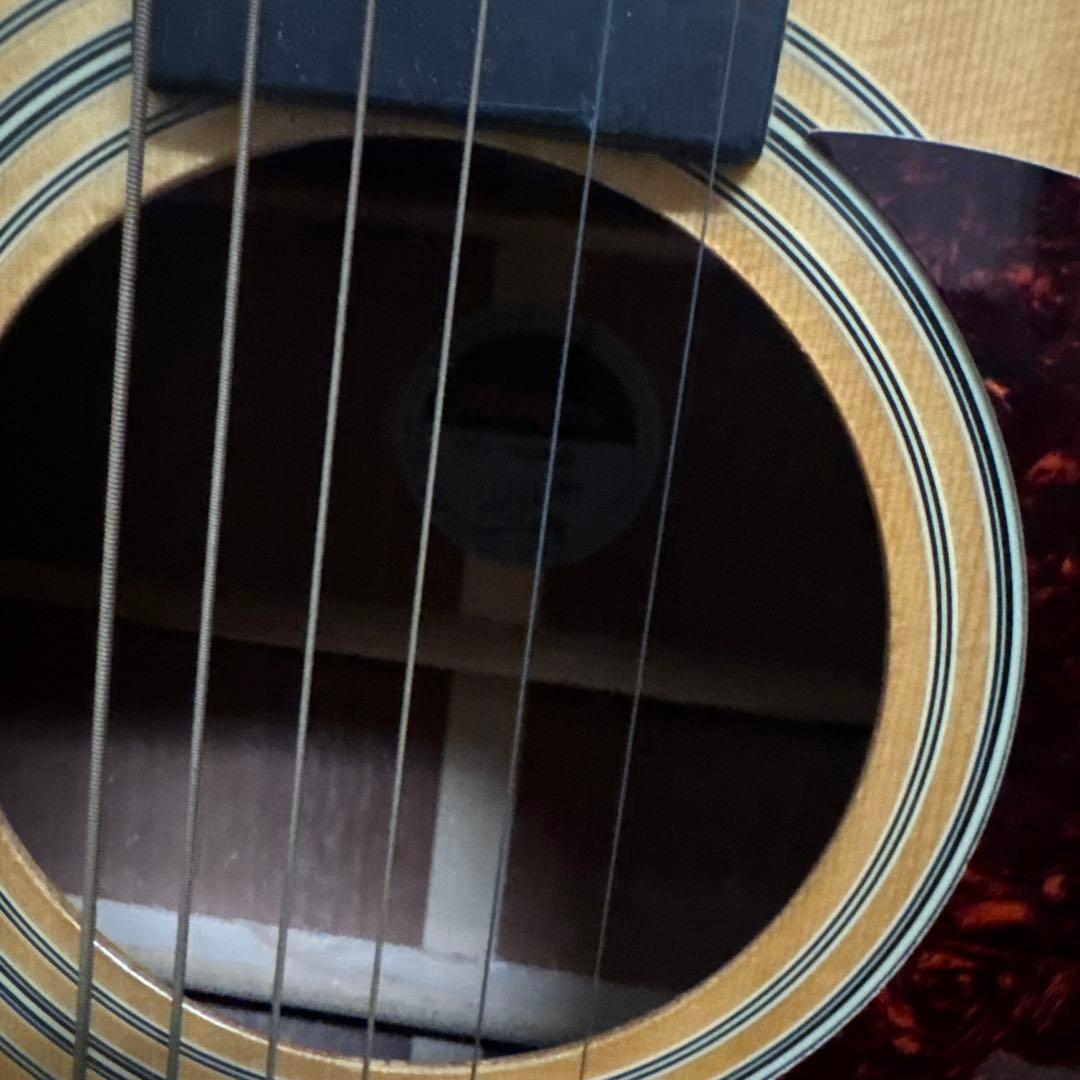 Morris アコースティックギターM-11NAT