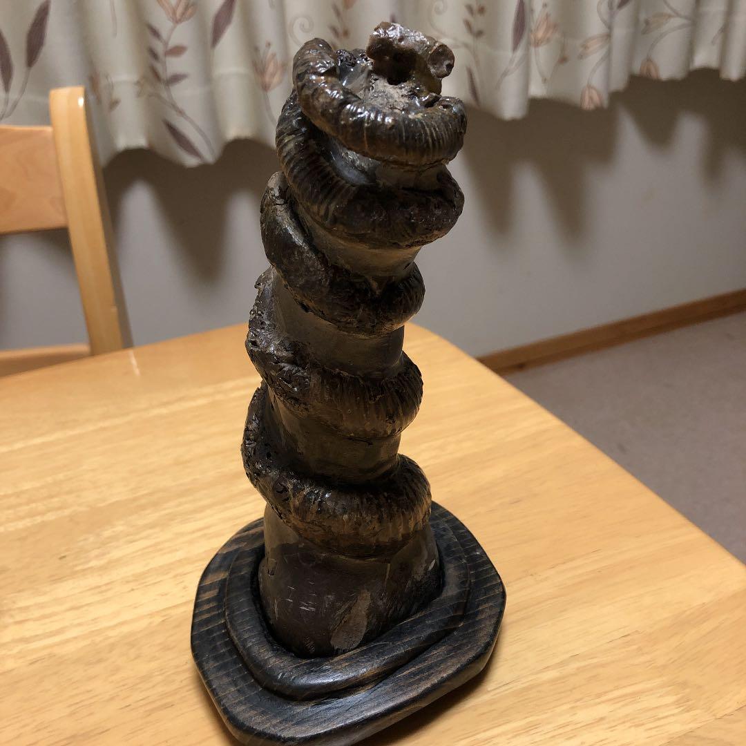 化石　　異常巻き