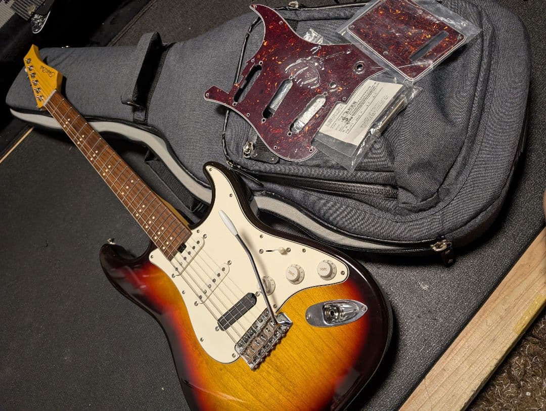 Three Dots Guitars s ケース付　オーダーピックガード付