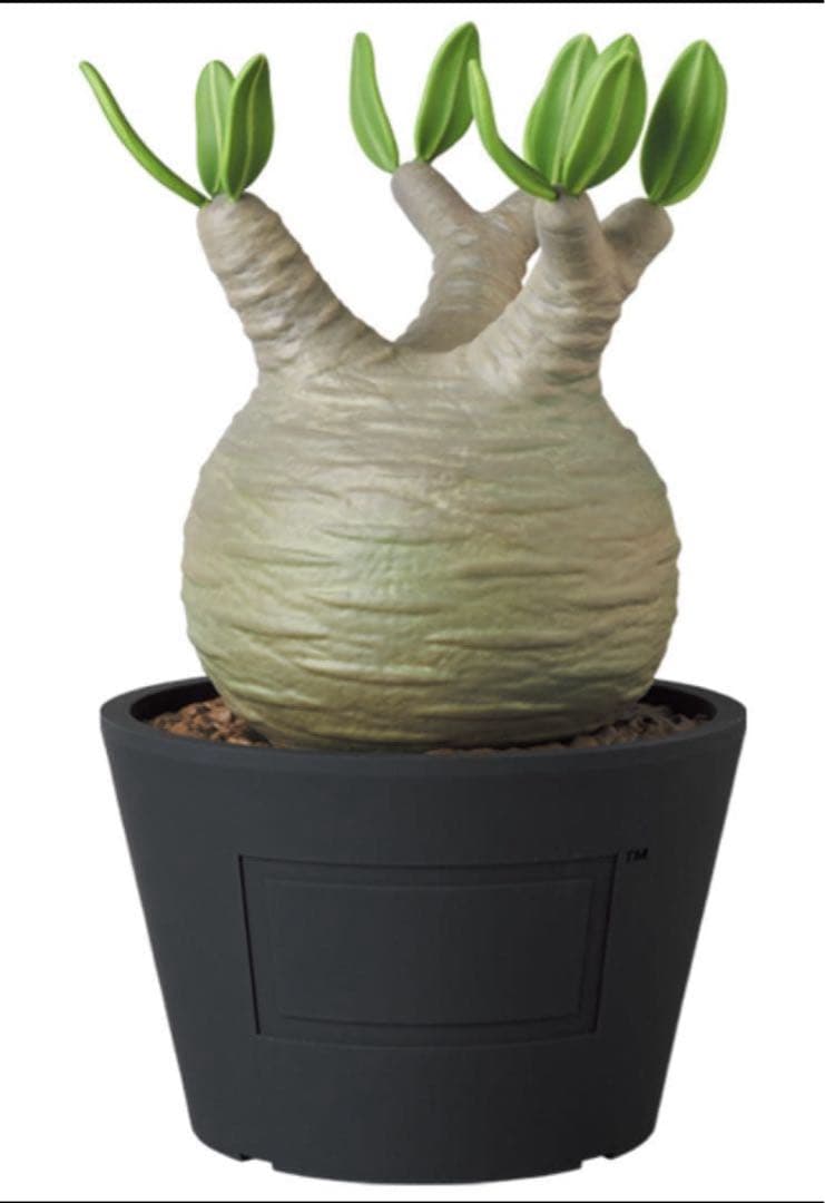 ボタナイズ メディコムトイ フィギュアbotanize 初期　VCD 1st