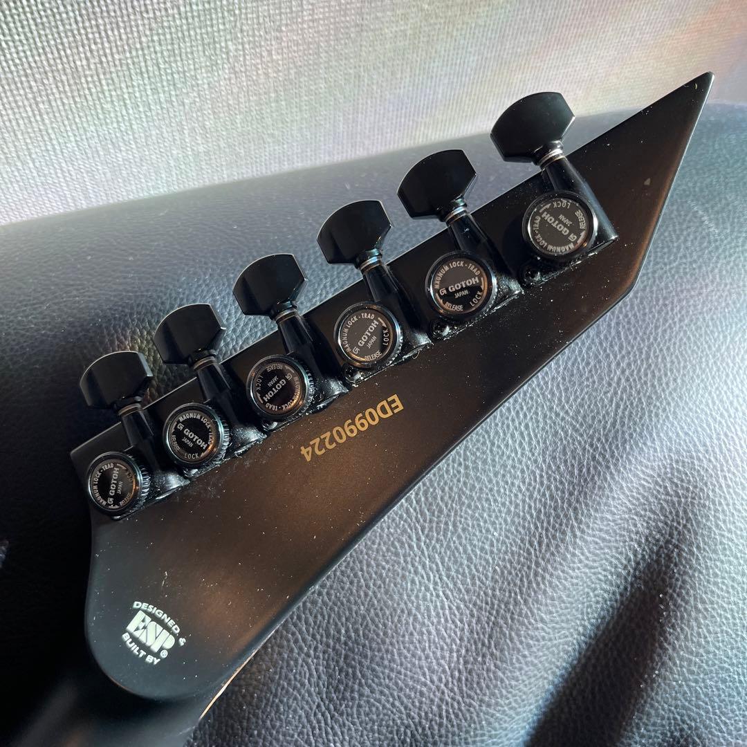 EDWARDS E-M-Ⅱ Custom smoky BK