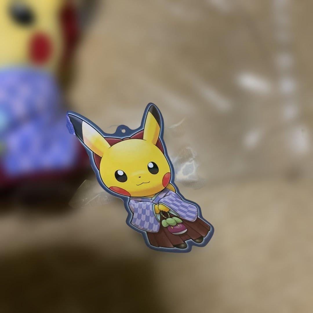 袴姿のピカチュウ　お茶会ごっこ　ぬいぐるみ