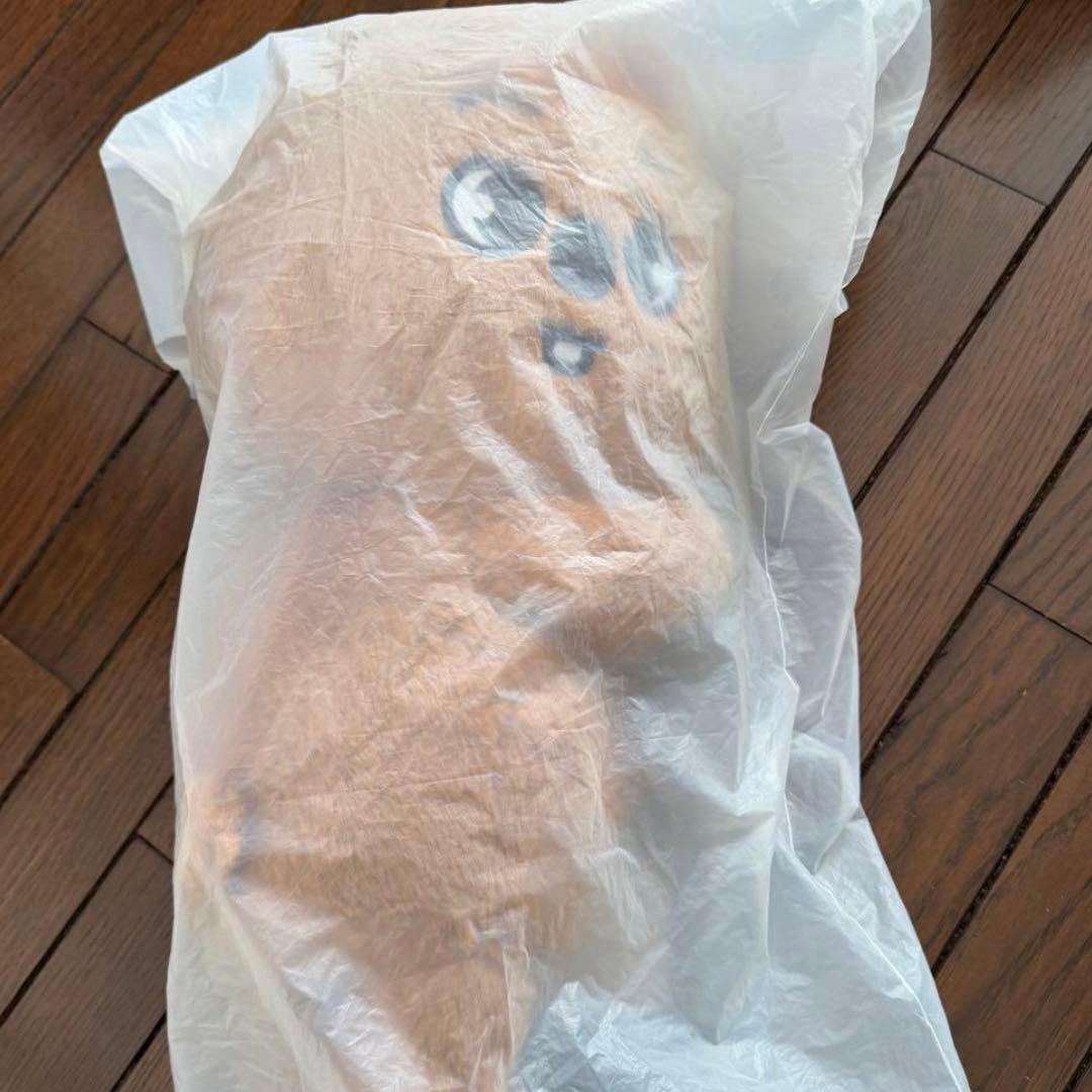 Straykids POPUP SKZOO BAG ハンクォッカ