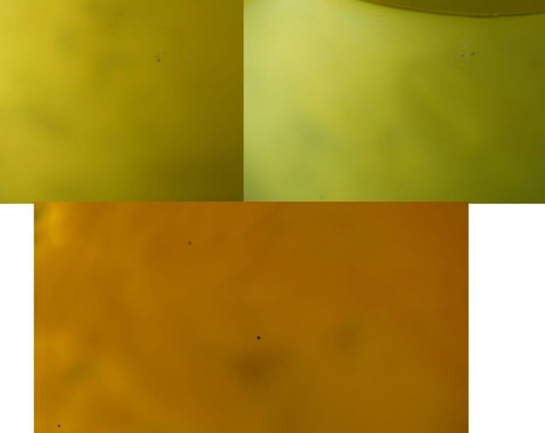 真作 「文化勲章受賞」 藤田喬平 手吹 金彩 灰皿 ガラス (希少カラー)共箱付