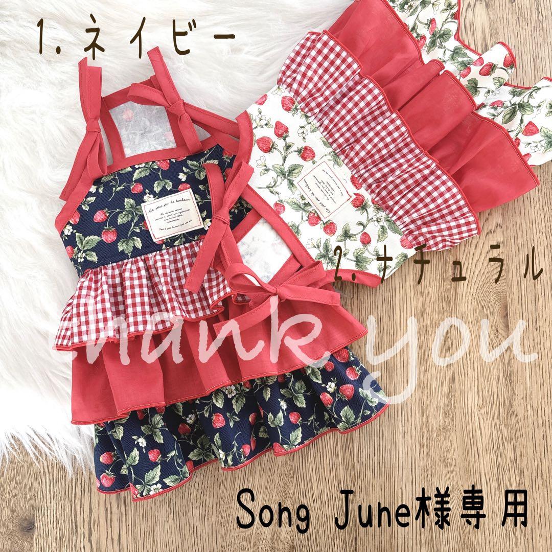 Song June様