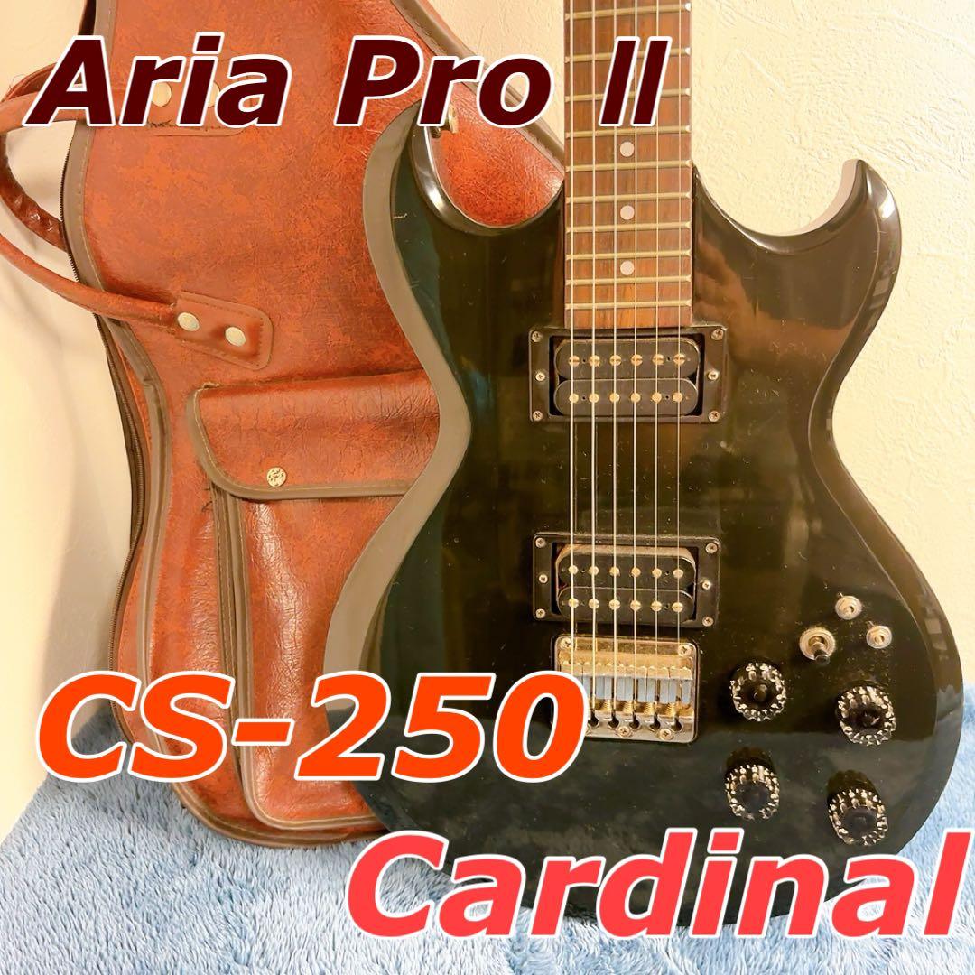 やーちん　Aria Pro II CS-250 Cardinal