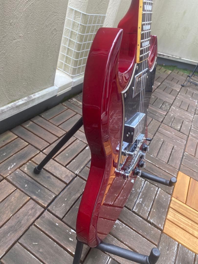 Photo Genic SG-250(フォトジェニック SGタイプ)