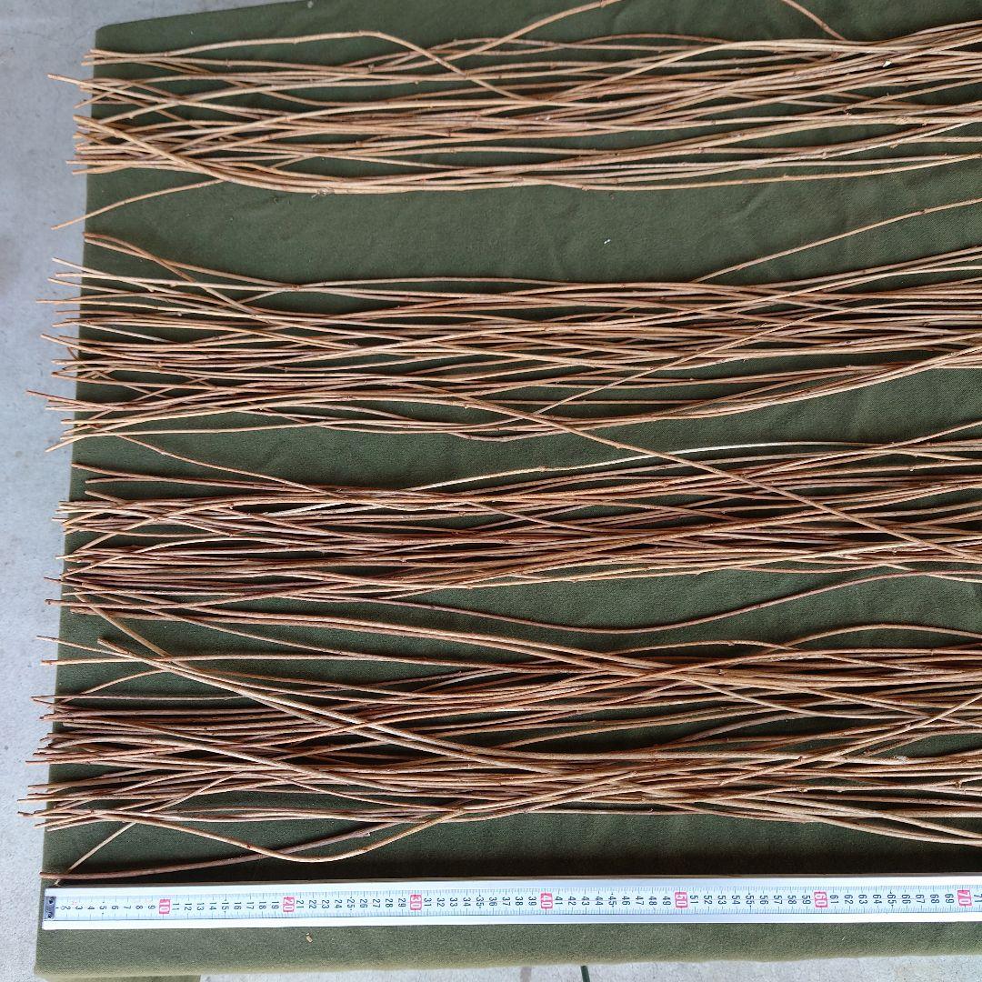 アケビの蔓（根蔓ランナー)