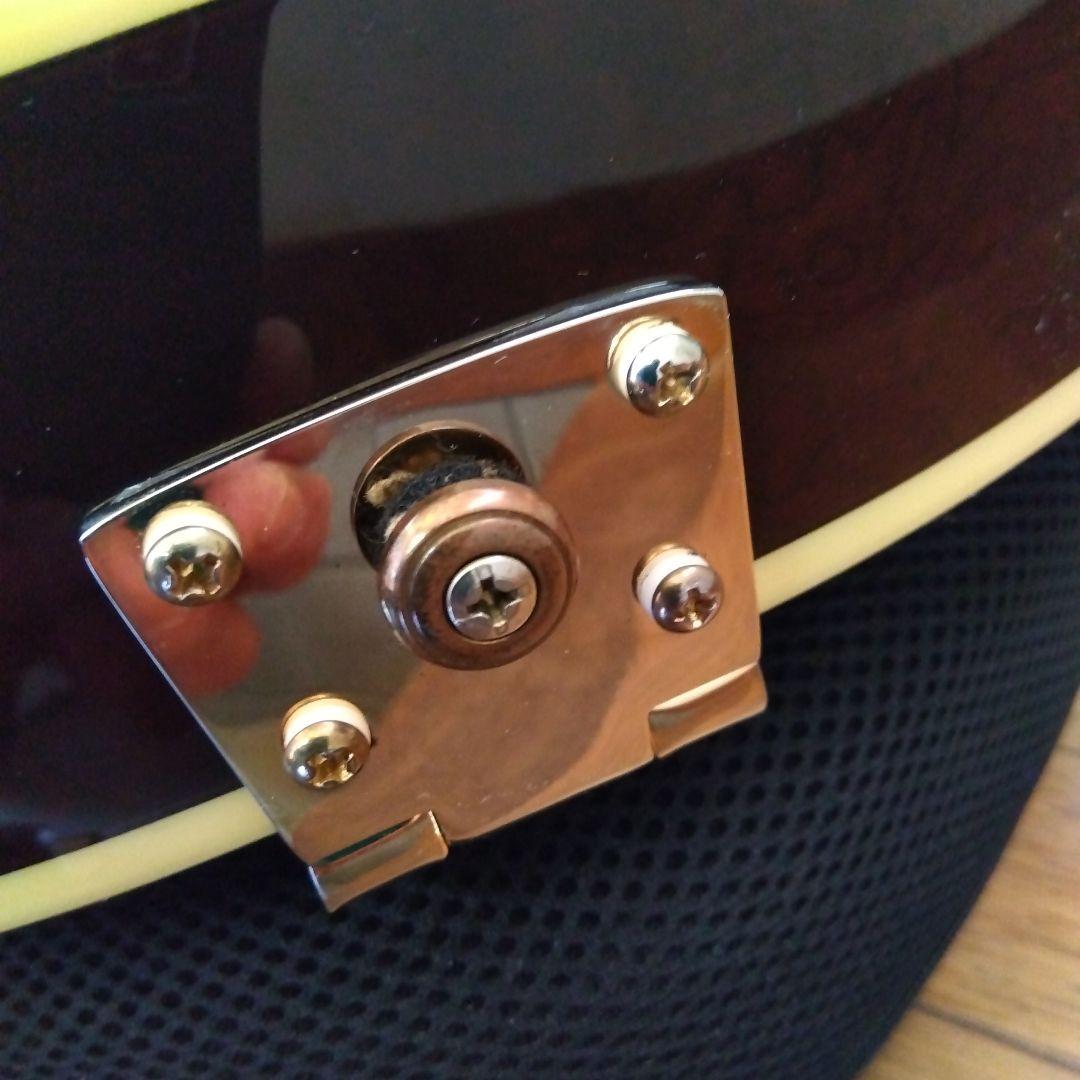 アイバニ―ズ　フルアコ　AK95―DBS―12―03　ソフトケ−ス付き