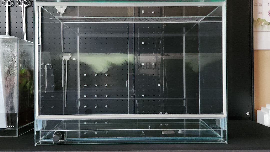 Rainforest 600×300×450