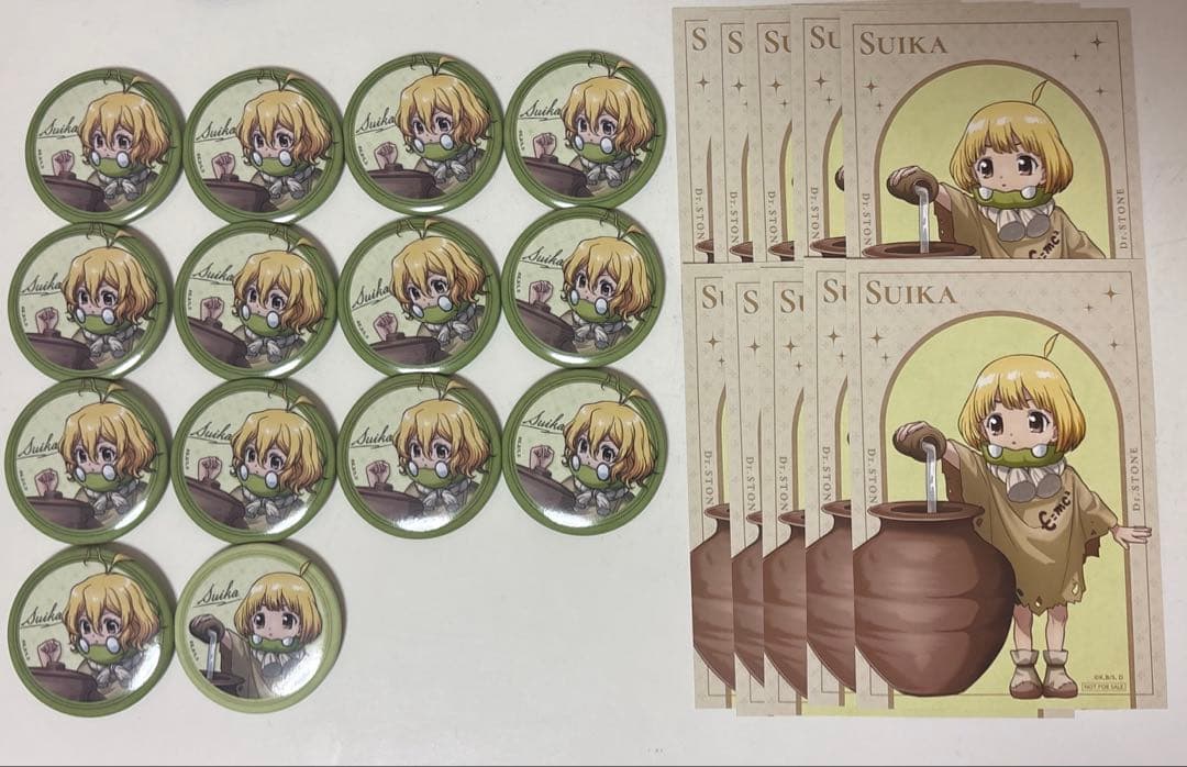 Dr.STONE スイカ ロフト Journey of Growth