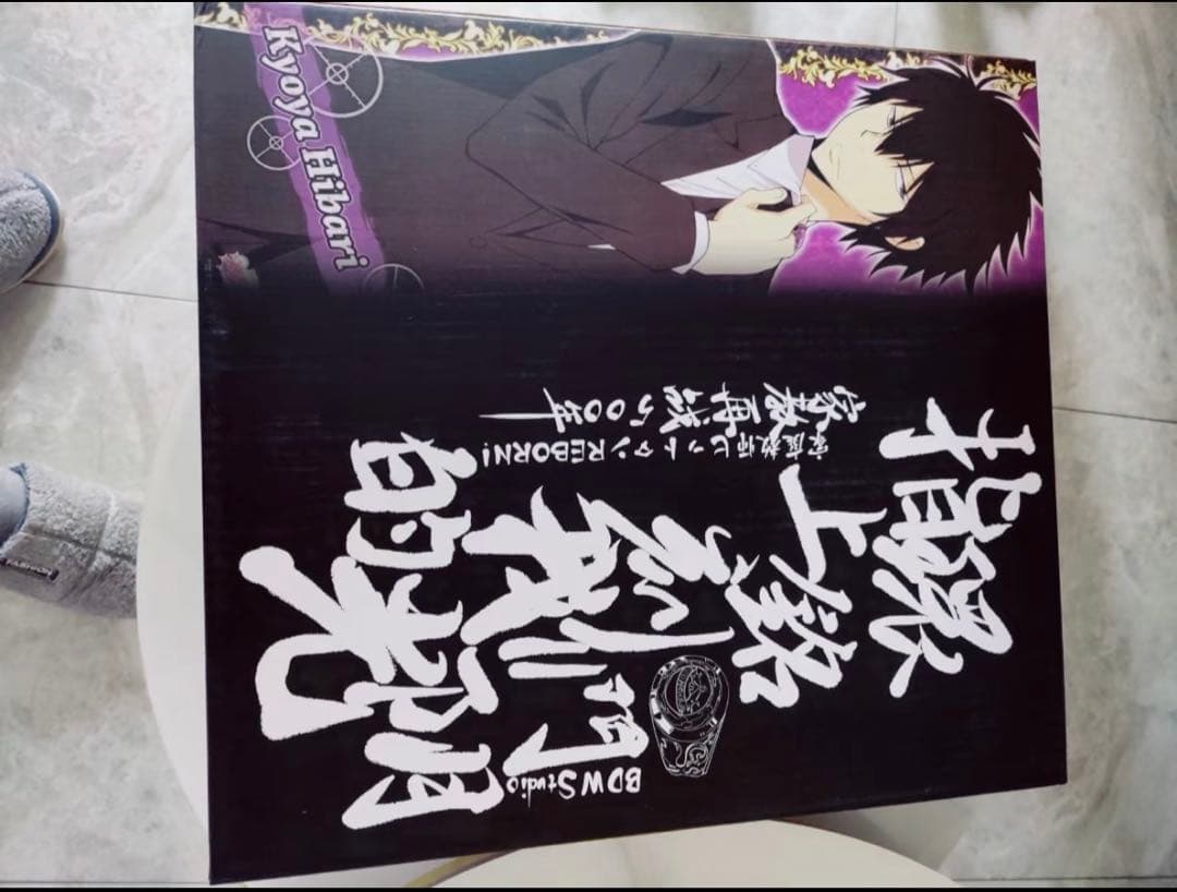 家庭教師ヒットマンREBORN! 沢田綱吉 雲雀恭弥 ガレージキット ガレキ ス