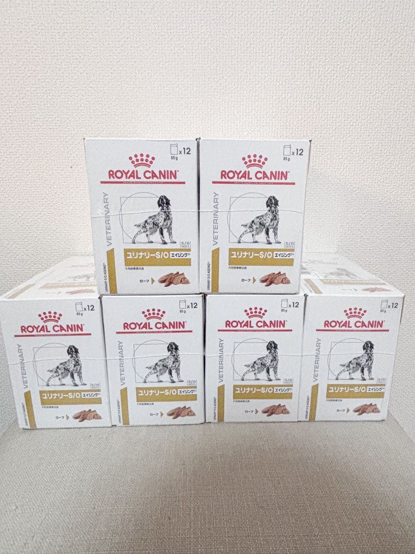  CANIN 流動食 12個入り×6