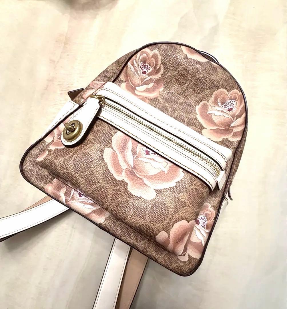 極美品COACH キャンパス バックパック 23 シグネチャー ローズプリント