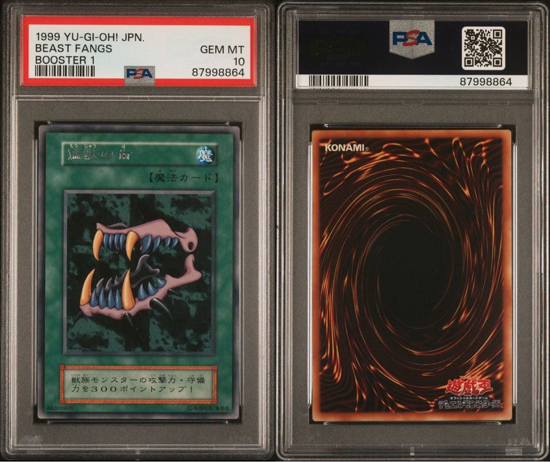 【世界に2枚】遊戯王　猛獣の歯　初期　ブースター1   字レア　PSA10