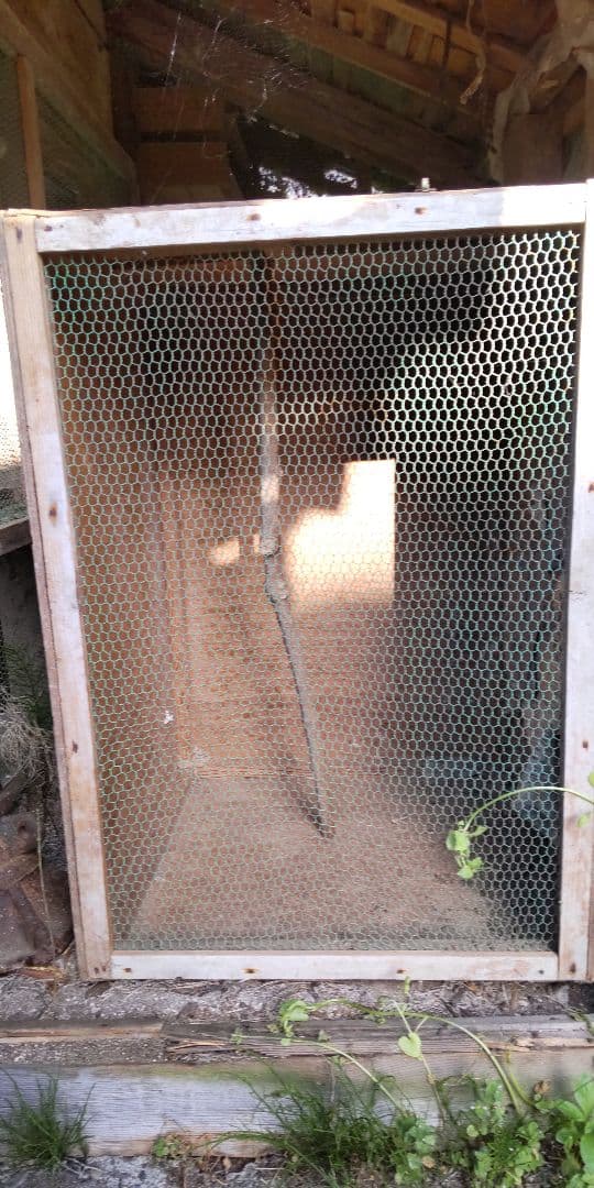 鳥かご ペット 飼育