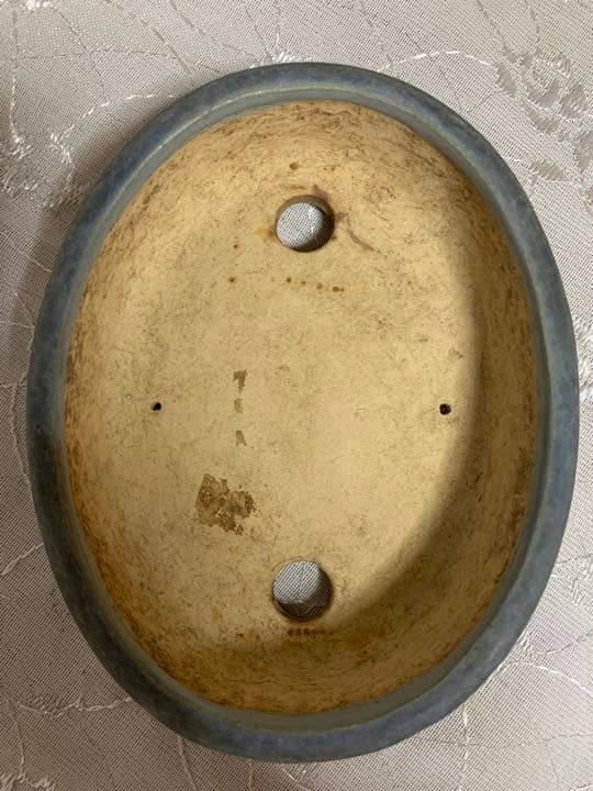 瑞穂　楕円　盆栽鉢