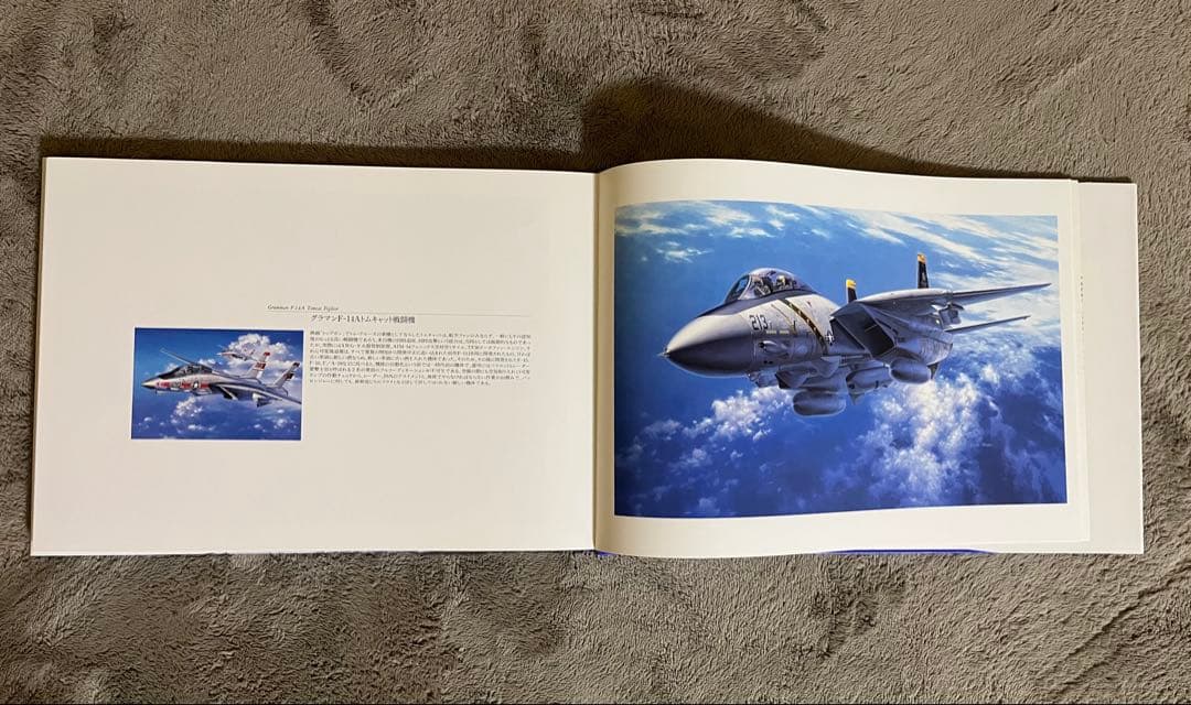 小池繁夫 Flying Colors フライング・カラーズ 航空イラスト作品集