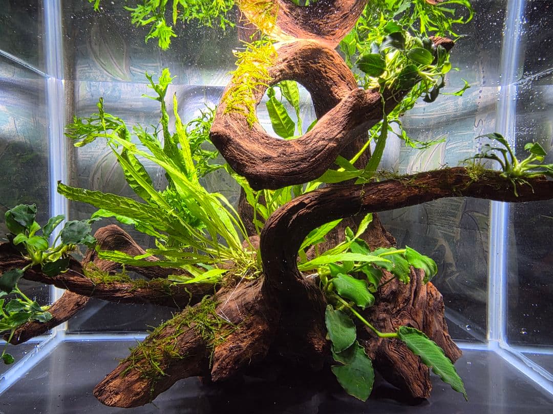 つっちー様 商談中になります。