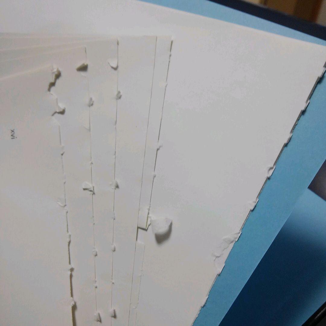 【　野菜の炒め物　】リアルタイムレンダリング 第4版