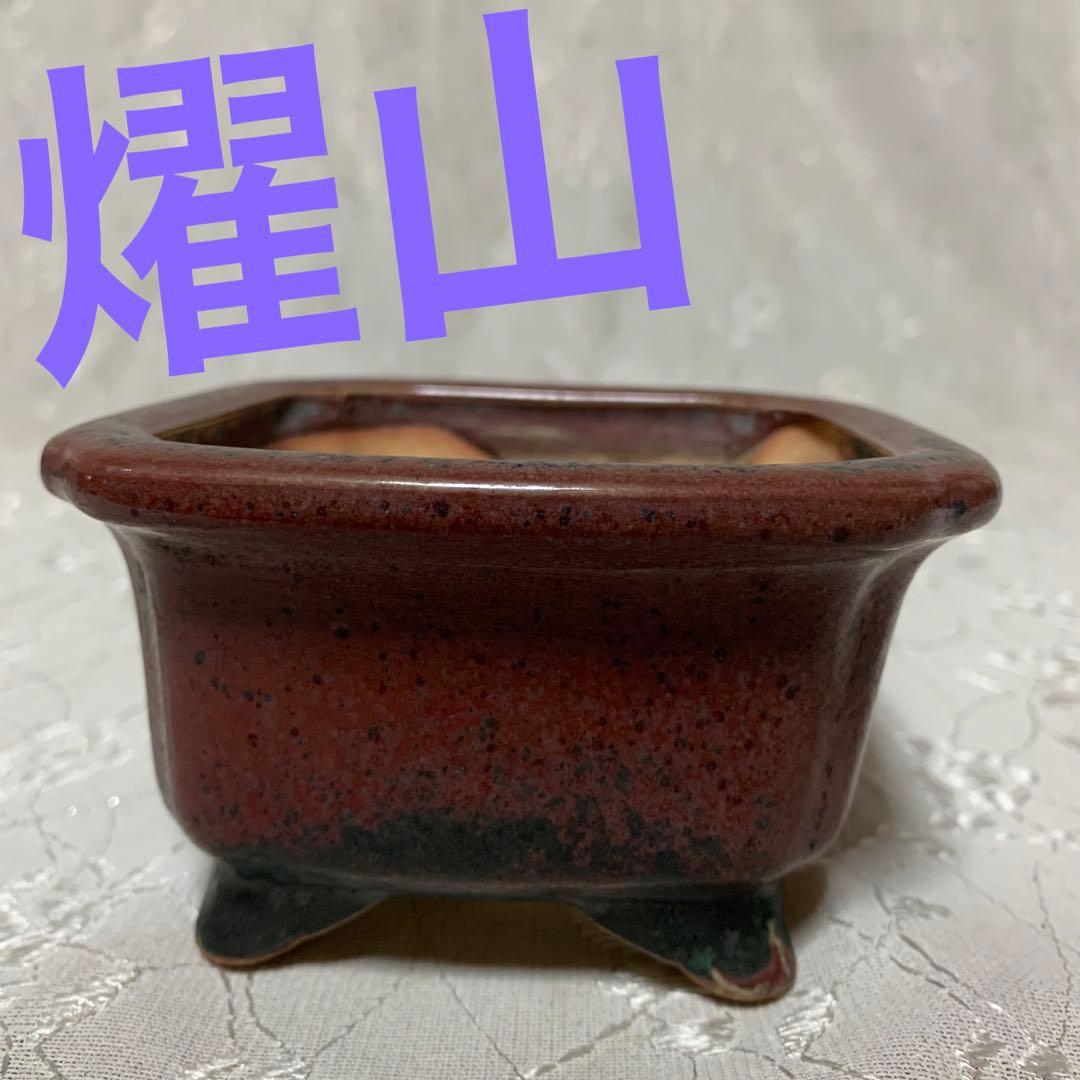 燿山　正方　深め　盆栽鉢