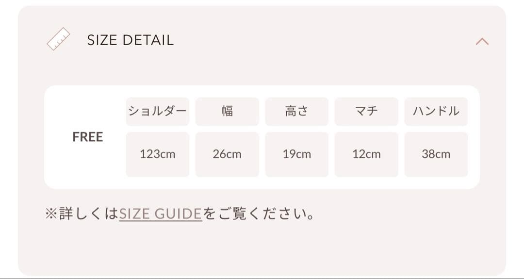 Darich ロゴショルダーレザーミニトートバッグ ブラック