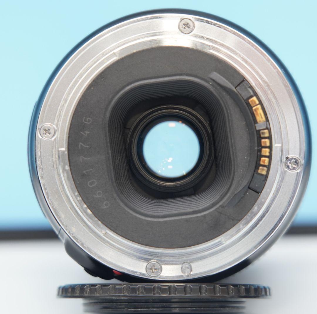 スポーツ/イベント/望遠レンズ/キヤノンCanon EF 100-300mm