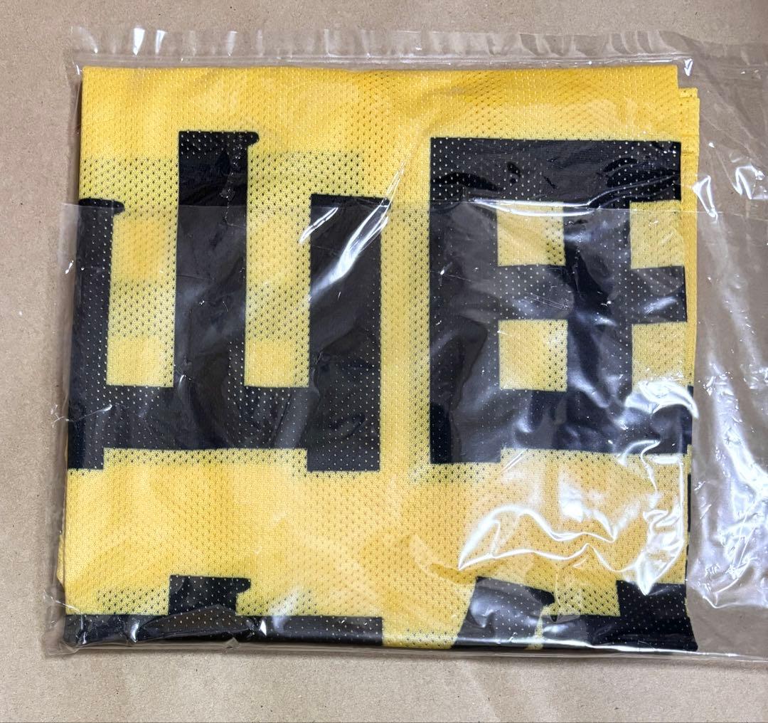 ニアジョイ　山田杏佳　初期ビブス