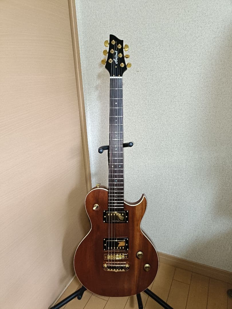 ARIAPROII PE-MAHO II / G 生産終了モデル