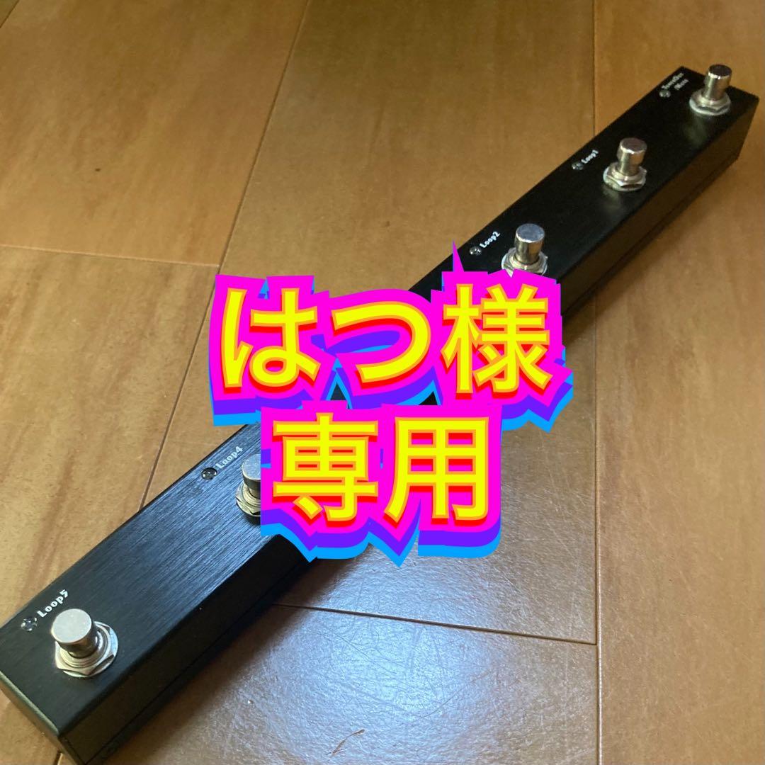 One Control スイッチャー　Iguana Tail Loop 2