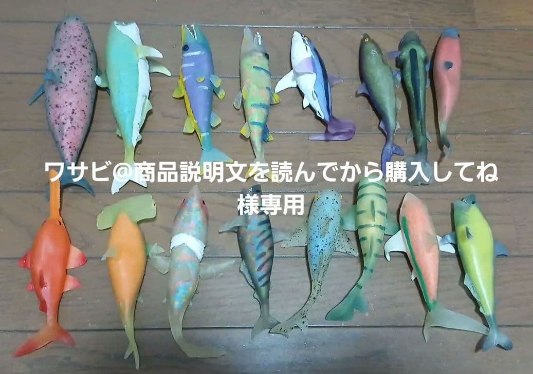 ワサビ@商品説明文を読んでから購入してね