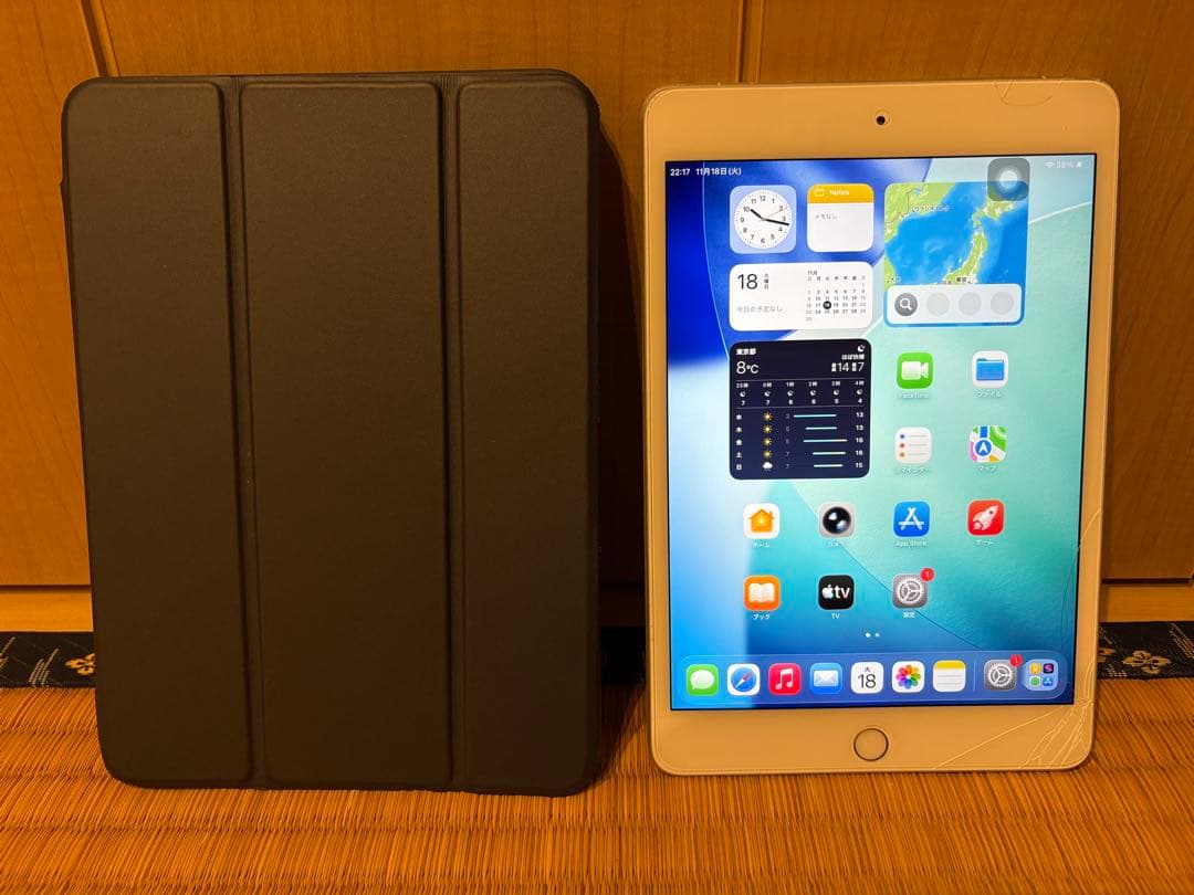 Apple iPad mini (第5世代) 256GB セルラーモデル