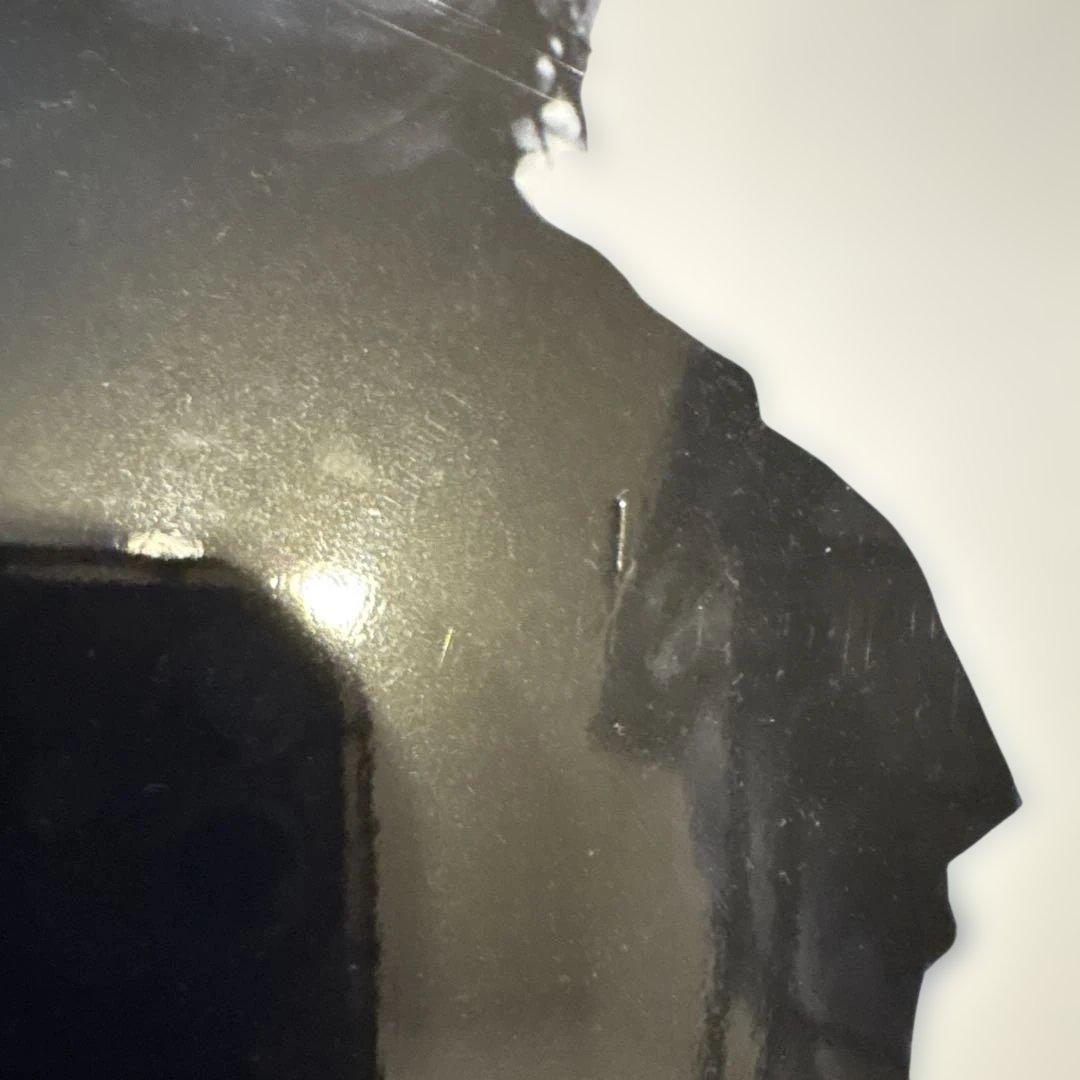 BUCK-TICK 【生産限定盤】 PICTURE PRODUCT