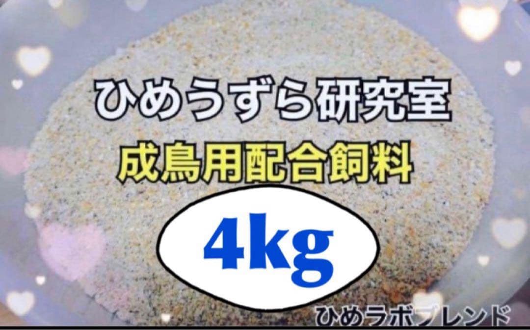 ひめうずら研究室 成鳥用配合飼料 4kg 鳥 餌 ヒメウズラ